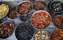 Şanlıurfa, 2029 Dünya Gastronomi Şehri İçin Aday Gösterildi