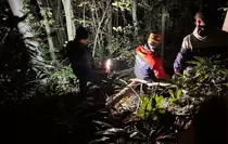 Sakarya'da kesim esnasında üzerine ağaç devrilen orman işçisi yaralandı