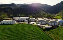 ARF Bio halka arz oluyor