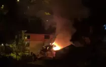 Yanan evden mahsur kalan papağanı itfaiye kurtardı