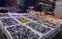 Trabzon'da hamsi ve istavrit 100 liradan satılıyor