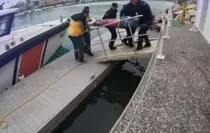 İzmir'de kayalıklardan düşen kişiye tıbbi tahliye yapıldı