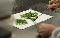 SATSO heyeti doku kültürü laboratuvarlarını basın mensuplarına tanıttı