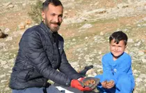 Küresel ısınmaya karşı 2 yılda 20 binden fazla tohum ekip, fidan dikti