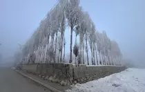 Hakkari'de soğuk hava ve sis etkili oldu
