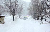 Bitlis'te kar etkili oldu