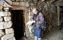 Hakkari'de küpe ve aşılama çalışması sürüyor