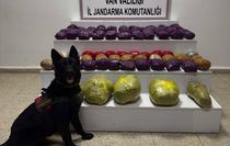 Van'da 31 kilo 551 gram uyuşturucu ele geçirildi