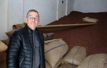 Ramazan Bayramı öncesi fındık fiyatları 240 liraya geriledi