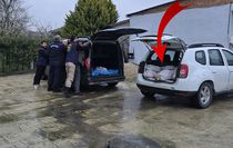 Piyasaya sunulmaya hazır 306 kilo at Silivri'de ele geçirildi