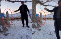Çok yediğini iddia ettiği köpeğini ağaca asıp öldürdü