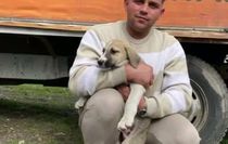 Ordu'da ciple çarpışan motosikletin sürücüsü öldü