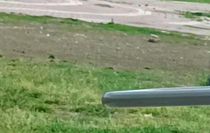 Adana'da tüfekli sopalı kavga kamerada