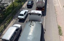 Kırmızı ışıkla birlikte kumruların ziyafeti başlıyor