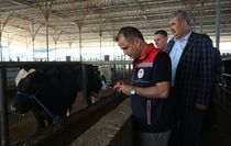 Edirne'de kurbanlık satış alanları denetlendi