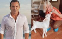 Ferhat Göçer'den sevgilisi Ömür Gedik'in ''keçi'' paylaşımına dikkat çeken yorum