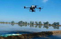 Dron ile çeltik ekimi