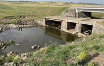 Şanlıurfa'da dereye giren çocuk boğulma tehlikesi geçirdi