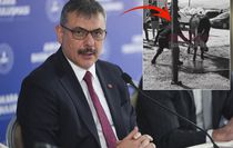 Bu nasıl kurban kesmek? Videoyu izleyenler Bakan Çiftçi'yi etiketledi