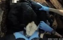 Bıçaklanan genç yardım istediği polis tarafından kelepçelendi: Hastanede hayatını kaybetti!