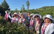 AK Parti Kadın Kolları Başkanı Ercan, Isparta'da Gül hasadına katıldı Açıklaması