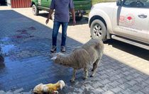 Erzincan'da zamanla yarış mutlu sonla bitti