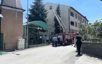 Kütahya'da ağaca takılan serçe itfaiye ekiplerince kurtarıldı