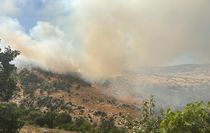 Diyarbakır'da çıkan orman yangınına müdahale ediliyor