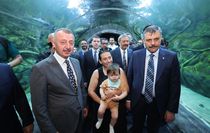 Bakan Çiftçi: Sahipsiz sokak hayvanlarının yüzde 92,35'i barınaklarda muhafaza ediliyor