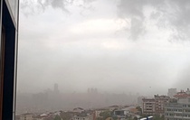 İstanbul'da fırtına etkili oldu, ağaçlar devrildi