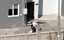 Dövdüğü kadının şikayetçi olmadığı şüpheli, adli kontrolle serbest kaldı