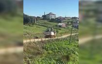 Ordu'da Maden Sondajı Hayvan Ölümlerine Yol Açtı İddiası