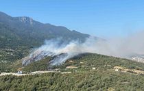 Bursa'da Orman Yangınına Havadan ve Karadan Müdahale