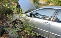 Yalova'da dere yatağına devrilen otomobilin sürücüsü yaralandı