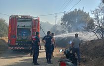 Ödemiş'te zeytinlik yangını kontrol altında