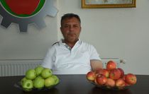 Niğde elması 12 ülkeye ihraç ediliyor