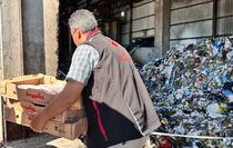 Adapazarı'nda Gıda Denetimi: 140 Kilogram Tarihi Geçmiş Tavuk Kanadı İmha Edildi