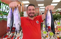 Karadeniz'de palamut bolluğu: Tezgahlar şenlendi, fiyatlar 140-180 TL