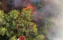 Antalya Aksu'da orman yangını