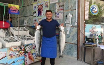 Kilis’te balık sezonu açıldı, tezgahlar çeşitlendi