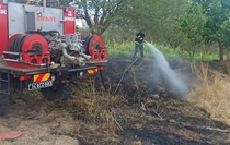 Bolu Gerede'de elektrik teline çarpan kuş yanarak düştü, anız yangını çıktı