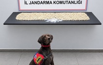 Şanlıurfa Eyyübiye'de operasyonda 14 bin 410 Captagon ve metamfetamin ele geçirildi