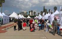 Adana'da 2. Yeşilay Bağımsız Aile Festivali bağımlılıkla mücadele için düzenlendi