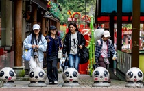 Sichuan'daki Baoxing ilçesi dev panda kaynaklarıyla ekoturizmi hızlandırıyor