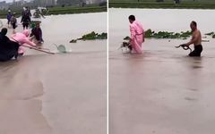 Çaresiz çiftçiler firar eden yüzlerce yılanın peşine böyle düştü