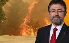 Bakan Yumaklı, orman yangınlarına ilişkin son durumu paylaştı