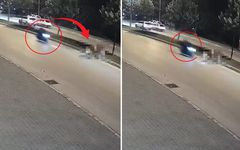 Motosikletli çarptığı şeye inanamadı: Birden yola çıktı