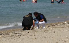 Vatandaş denizde bulup kumsala çıkardı, ekipler hemen müdahale etti