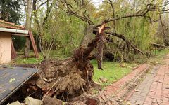 Aman dikkat! Meteoroloji'den 7 ile sarı kodlu uyarı