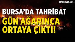 Bursa'daki Orman Yangınında Son Durum! Tahribat Gün Ağarınca Ortaya Çıktı